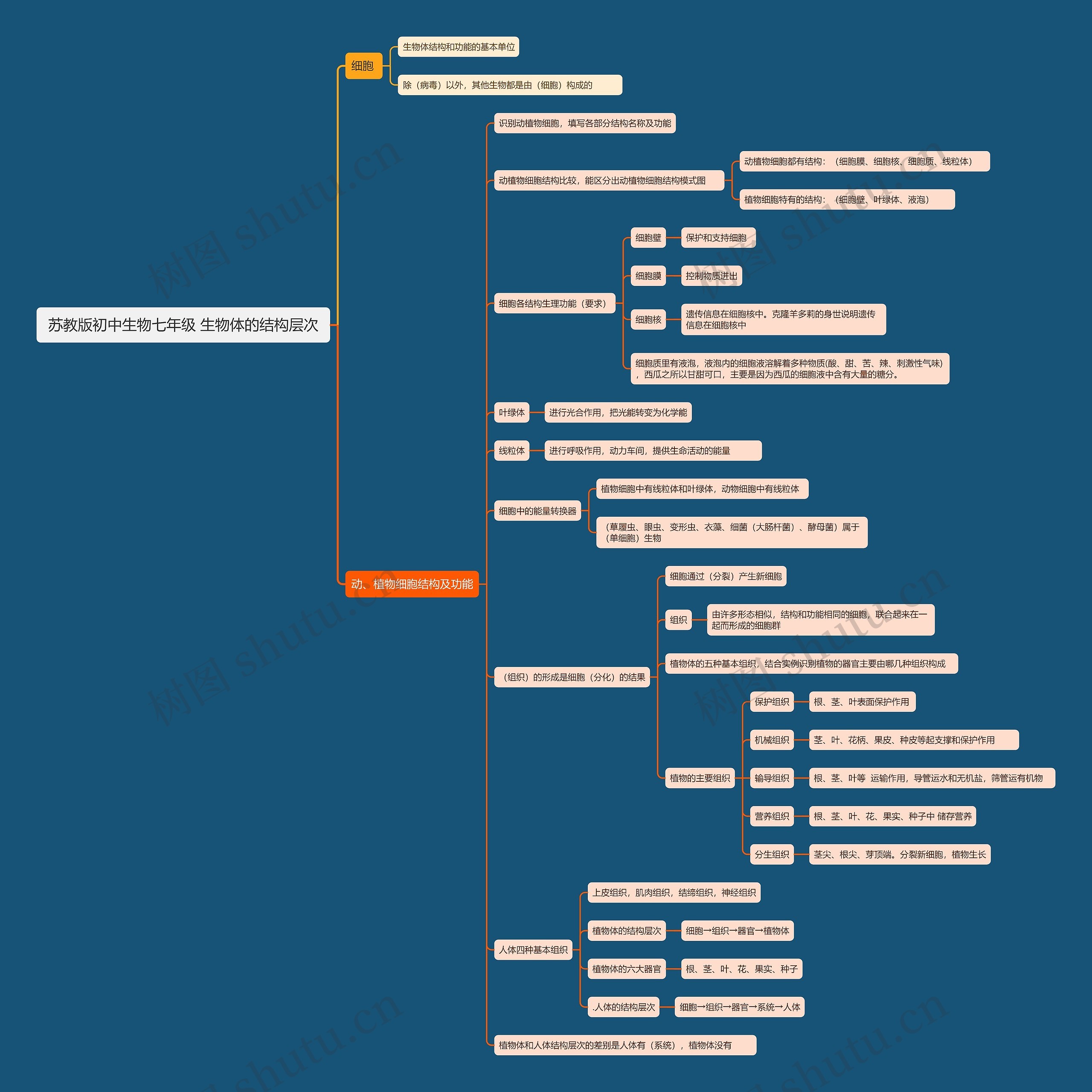 苏教版初中生物七年级 生物体的结构层次思维导图