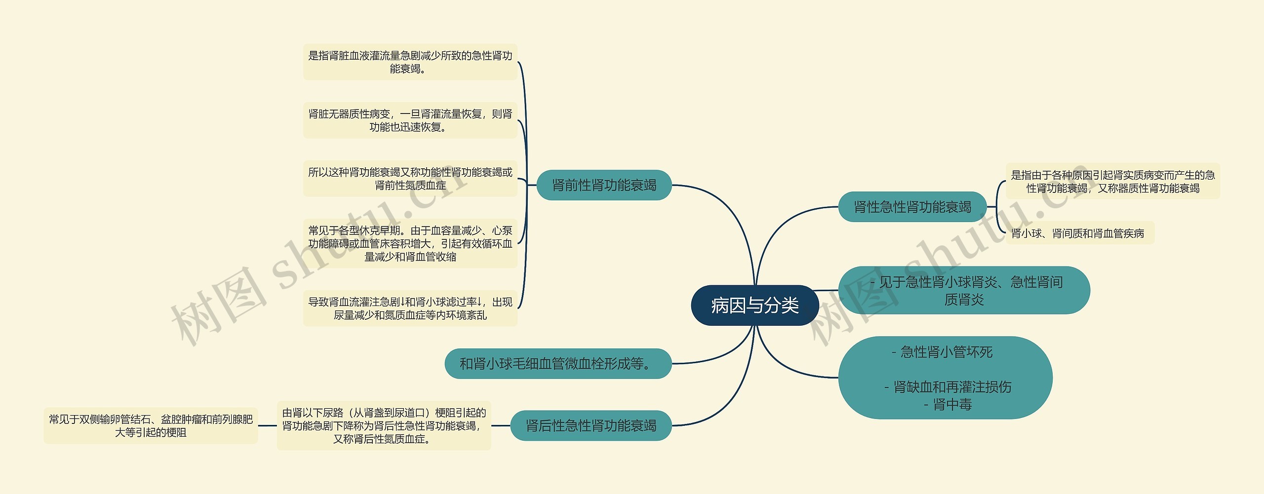 医学知识ARF病因与分类思维导图