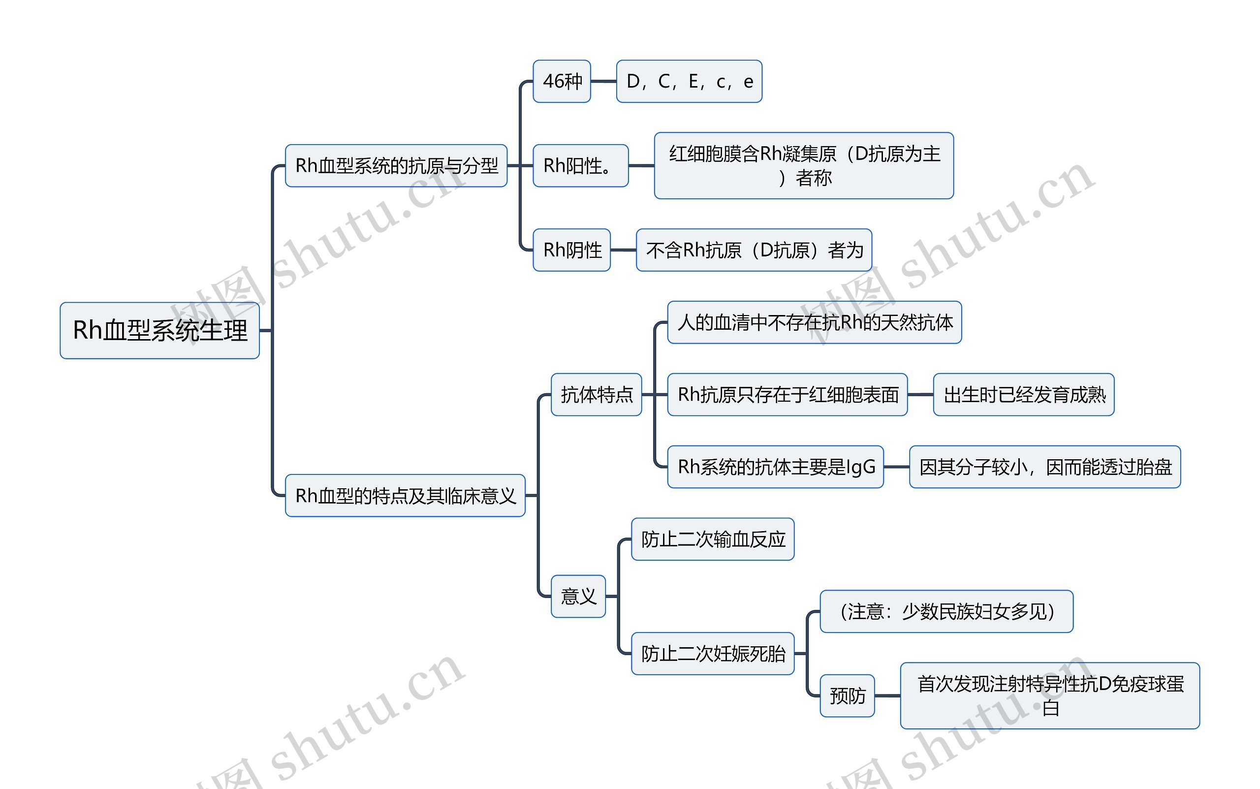 医学知识Rh血型系统生理思维导图