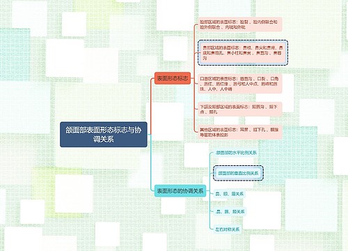 医学知识颌面部表面形态标志与协调关系思维导图