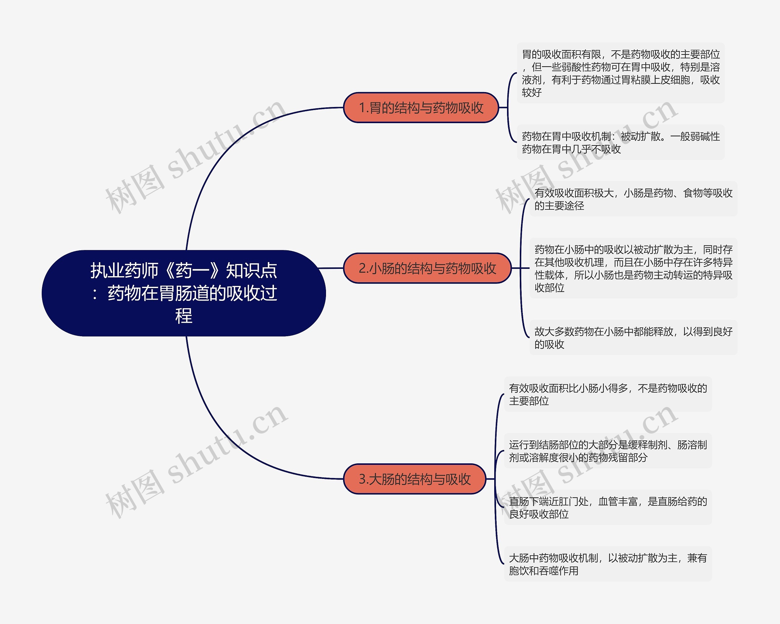 执业药师《药一》知识点：药物在胃肠道的吸收过程思维导图