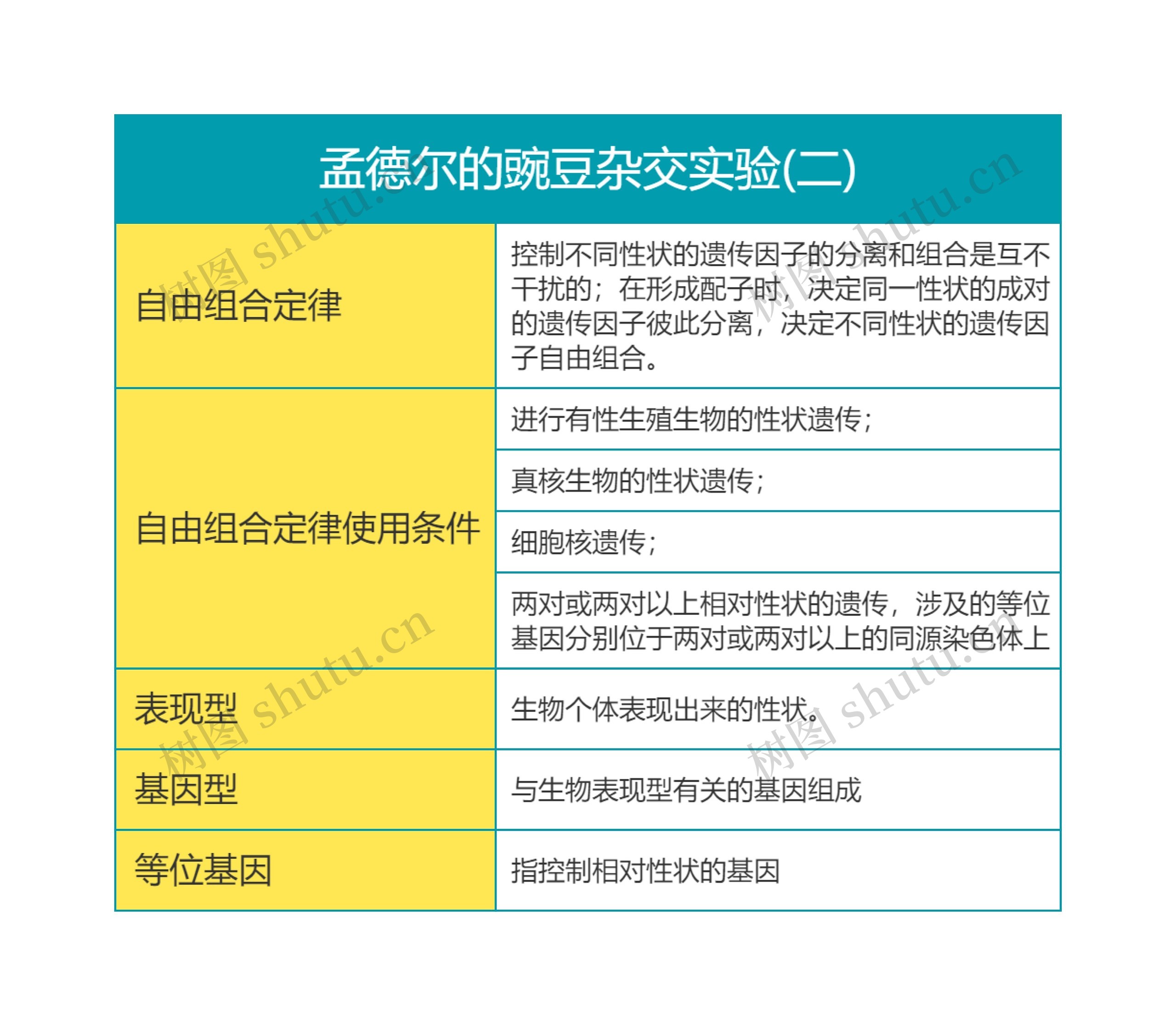 高中生物必修二第一单元孟德尔的豌豆杂交实验(二)思维导图