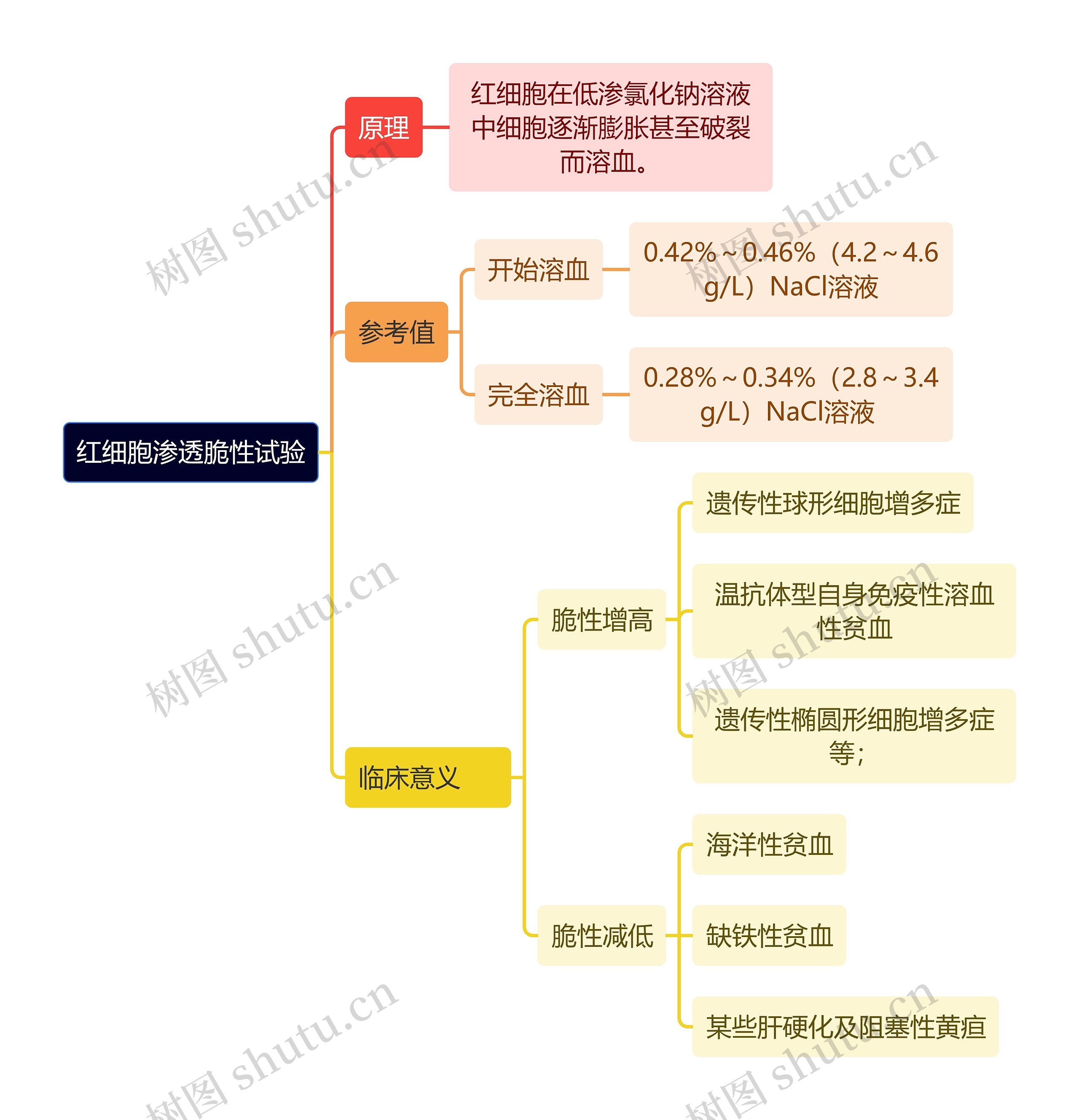 医学知识红细胞渗透脆性试验思维导图