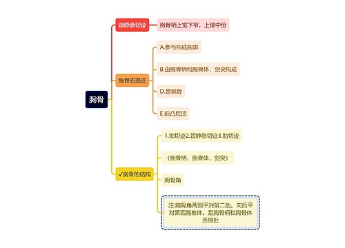 医学知识胸骨思维导图