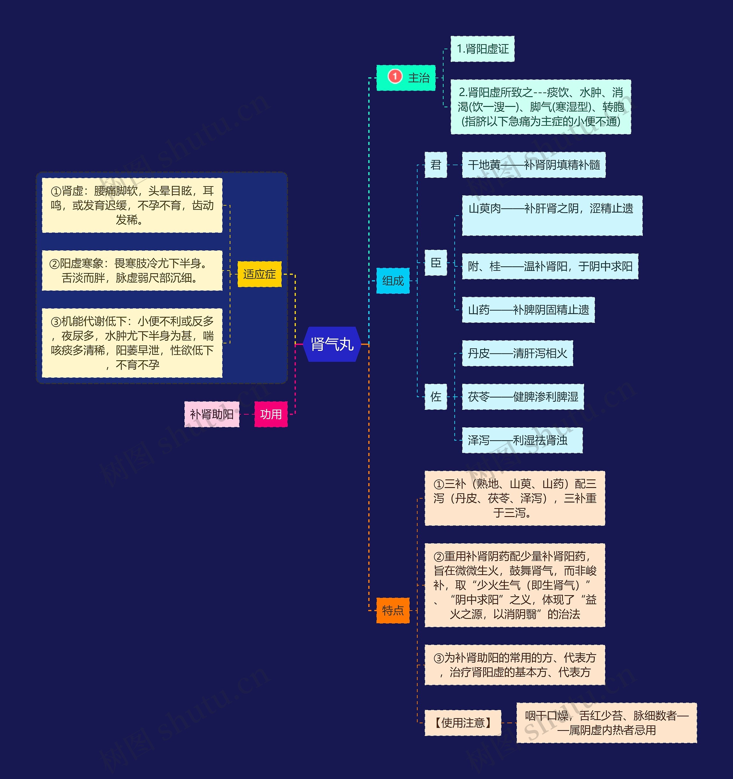 医学知识肾气丸思维导图