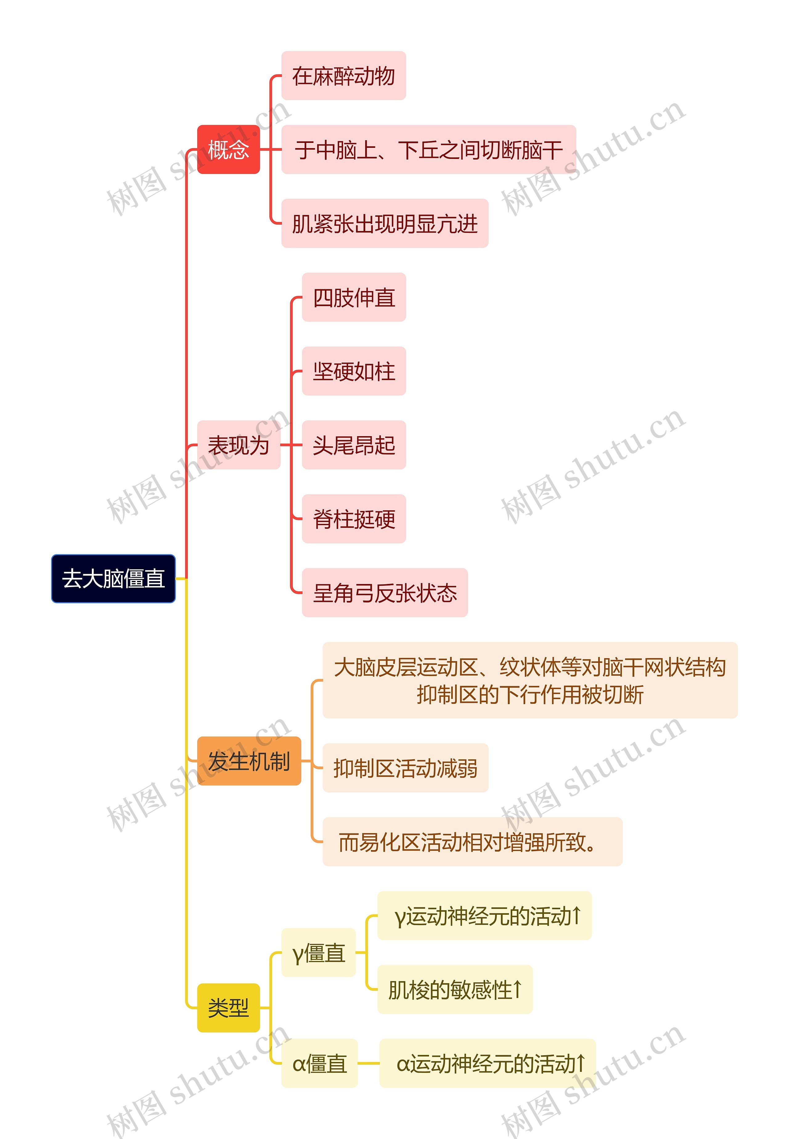 医学知识去大脑僵直思维导图