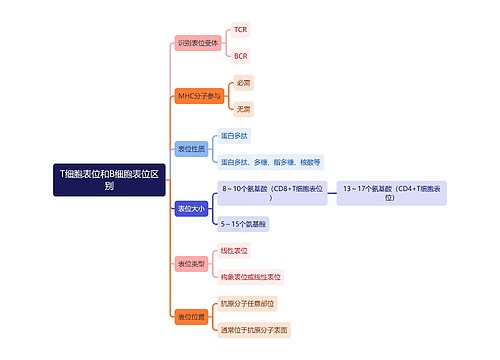 医学知识T细胞表位和B细胞表位区别思维导图