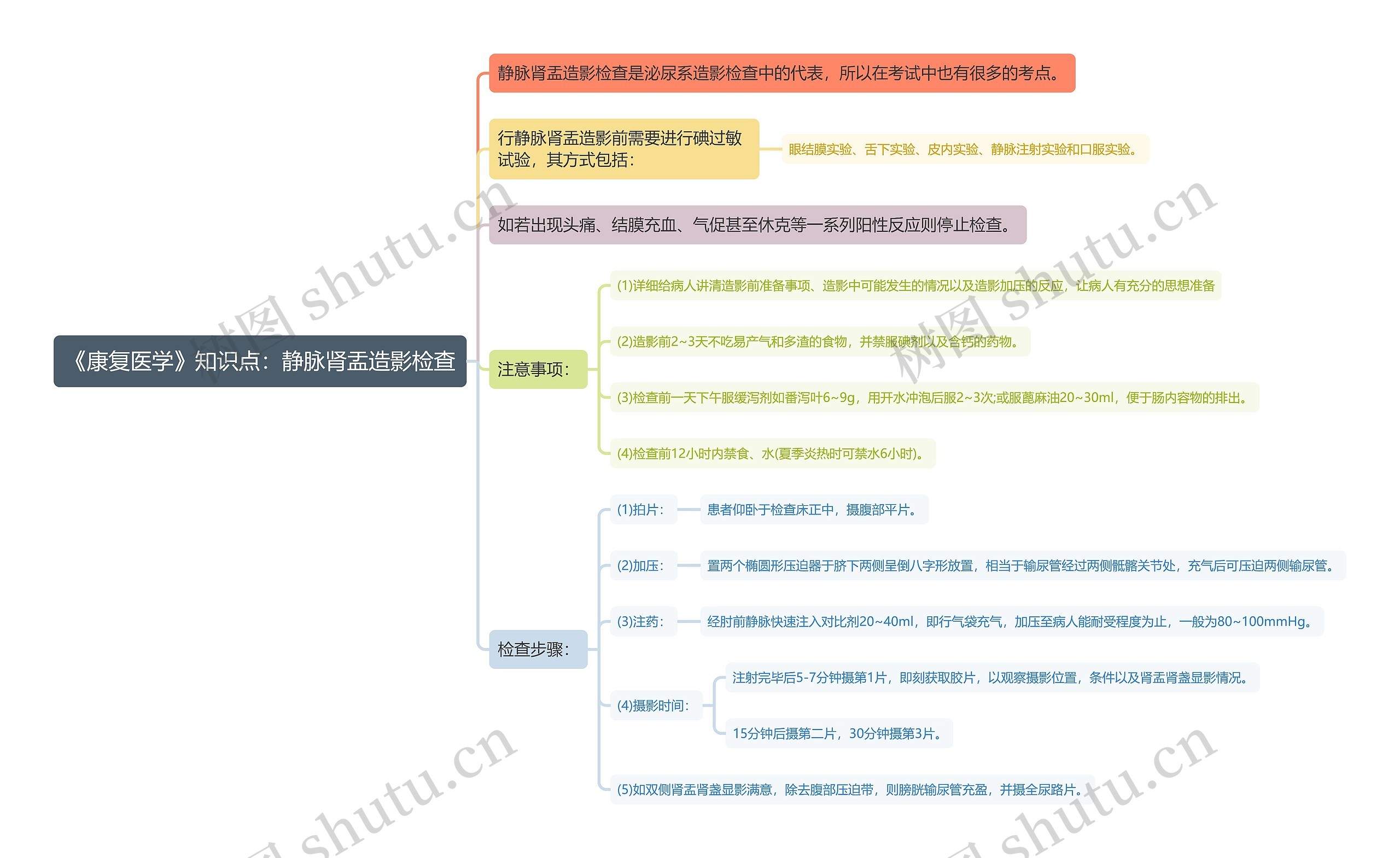 《康复医学》知识点：静脉肾盂造影检查思维导图