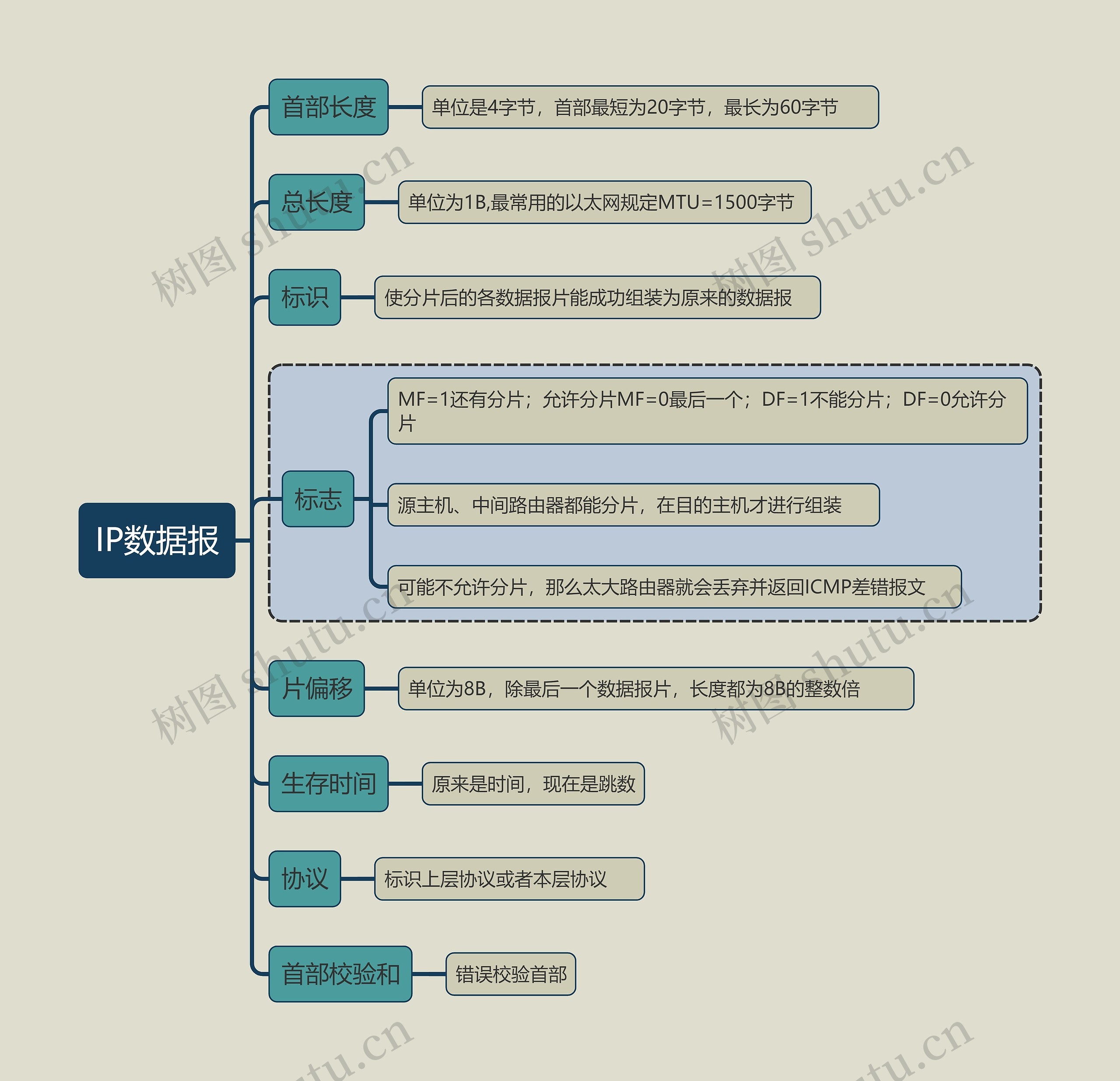 计算机考试知识IP数据报思维导图