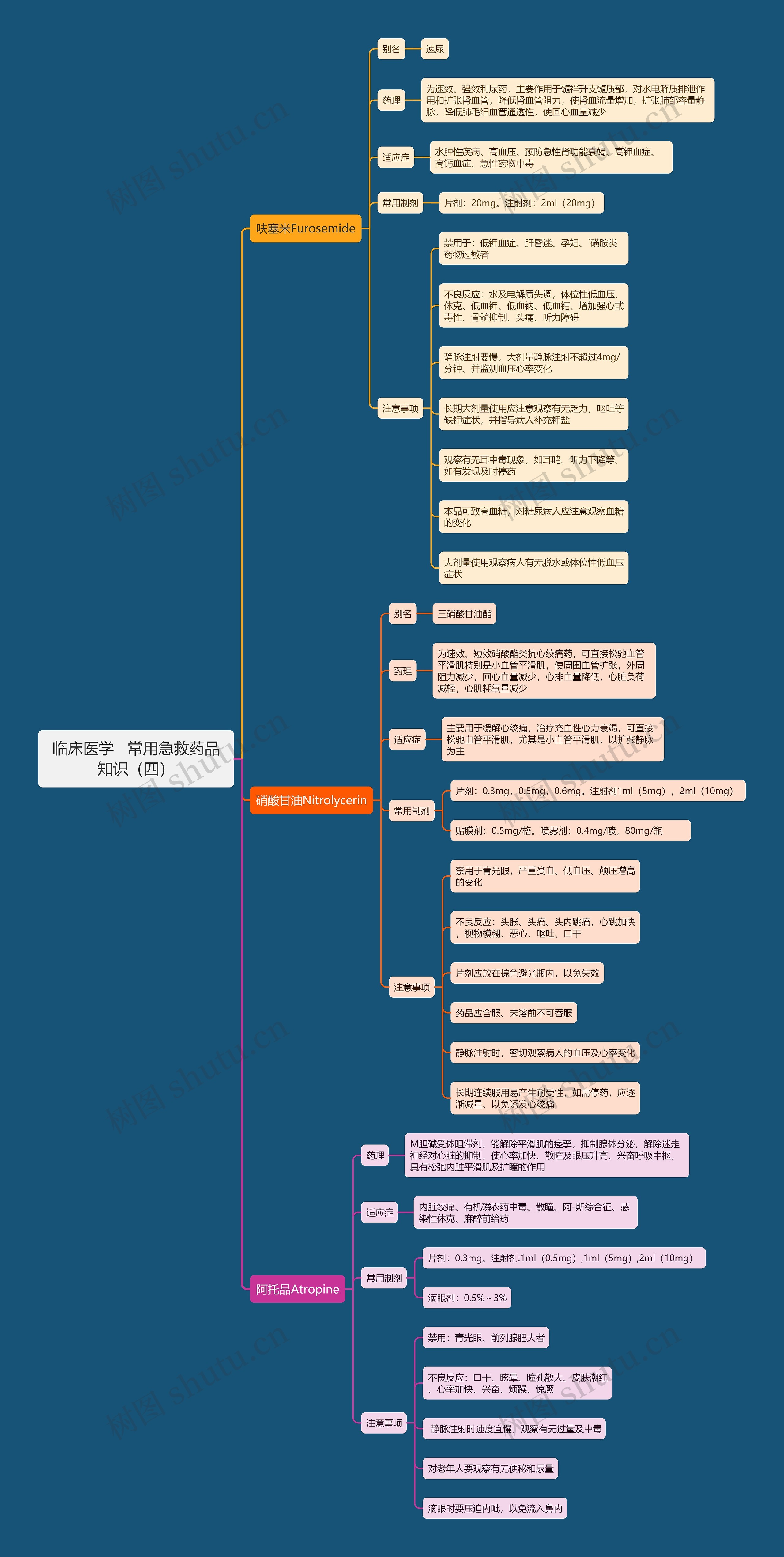临床医学   常用急救药品知识（四）思维导图