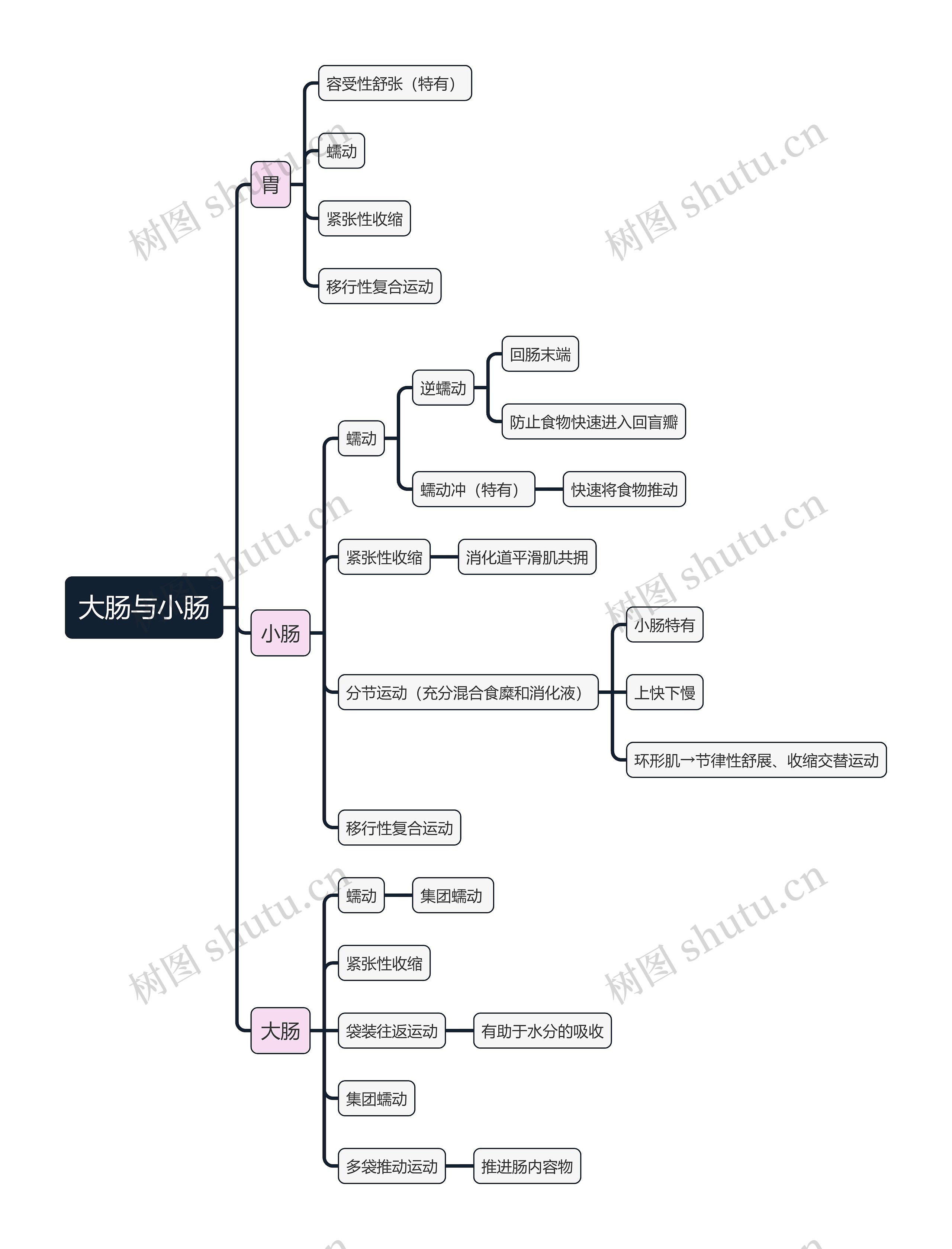 医学知识大肠与小肠思维导图