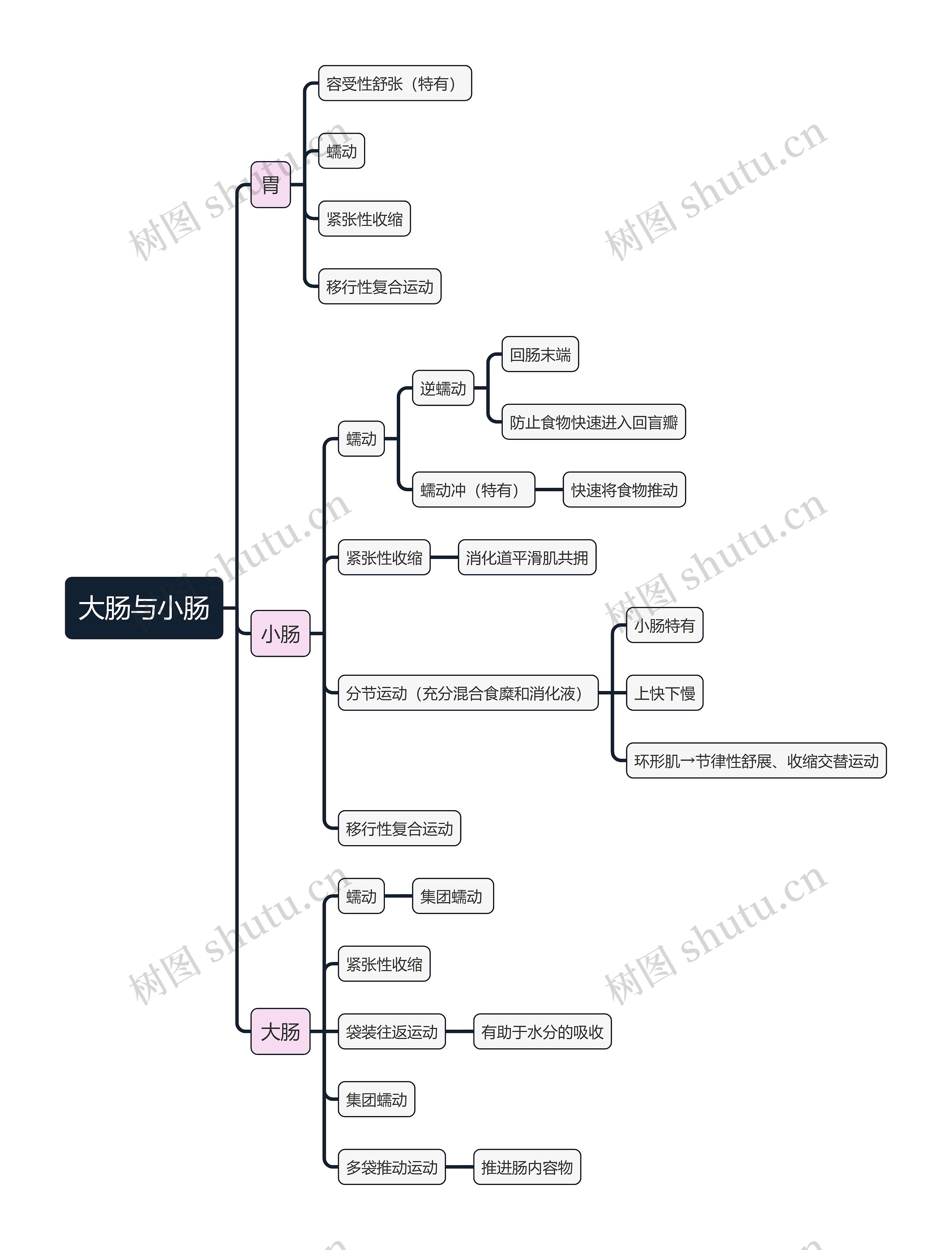 医学知识大肠与小肠思维导图高清图 医学知识大肠与小肠思维导图