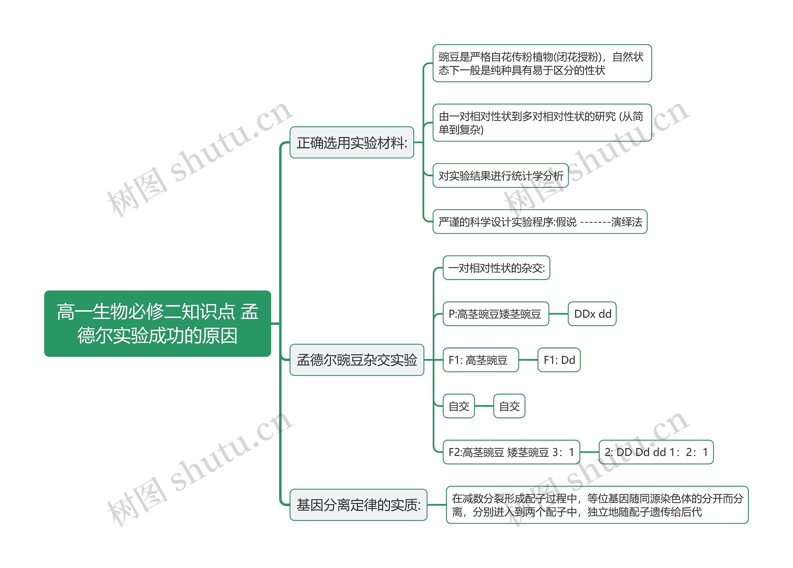 高一生物必修二知识点 孟德尔实验成功的原因