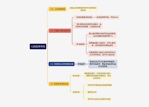 医学知识心肌的传导性思维导图