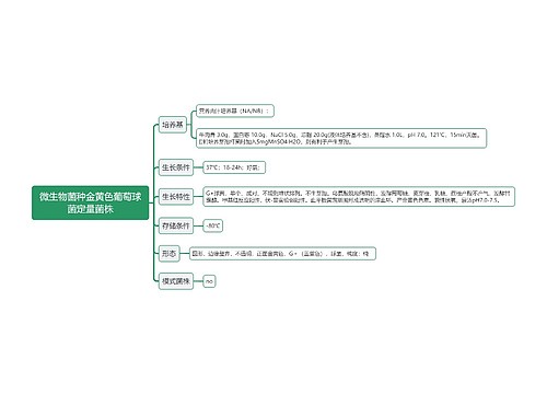 微生物菌种金黄色葡萄球菌定量菌株思维导图