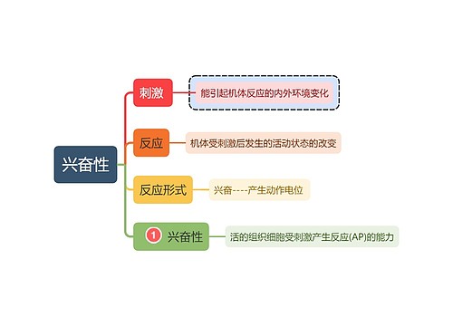 医学知识生理学兴奋性思维导图