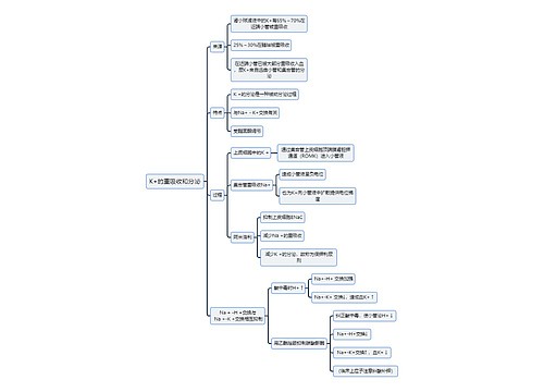 医学知识K+的重吸收和分泌思维导图
