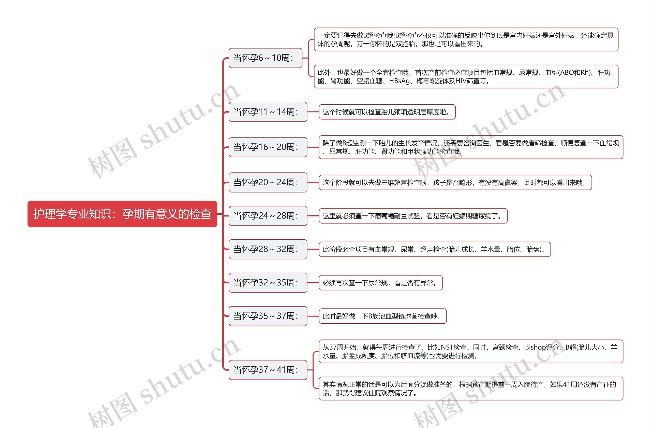 护理学专业知识：孕期有意义的检查思维导图