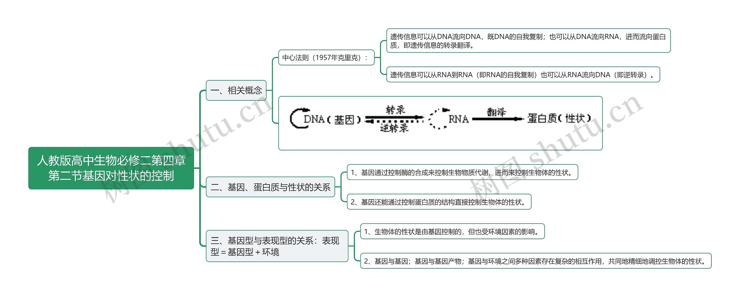 人教版高中生物必修二第四章第二节基因对性状的控制思维导图