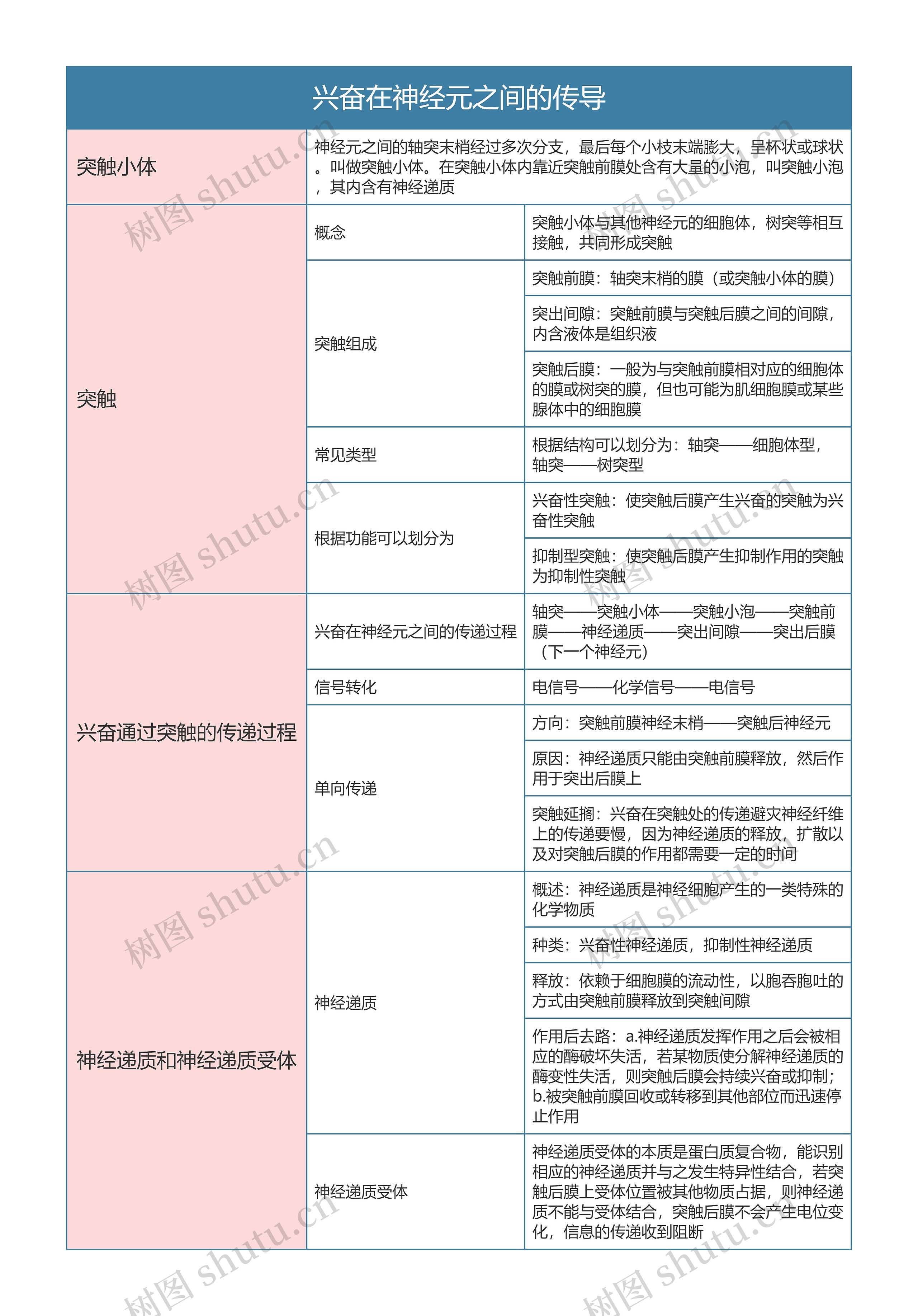 高中生物必修三兴奋在神经元之间的传导思维导图