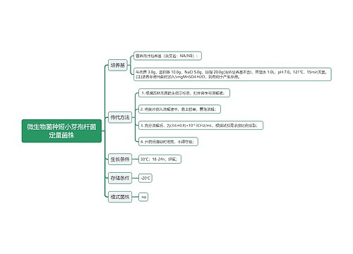 微生物菌种短小芽孢杆菌定量菌株思维导图