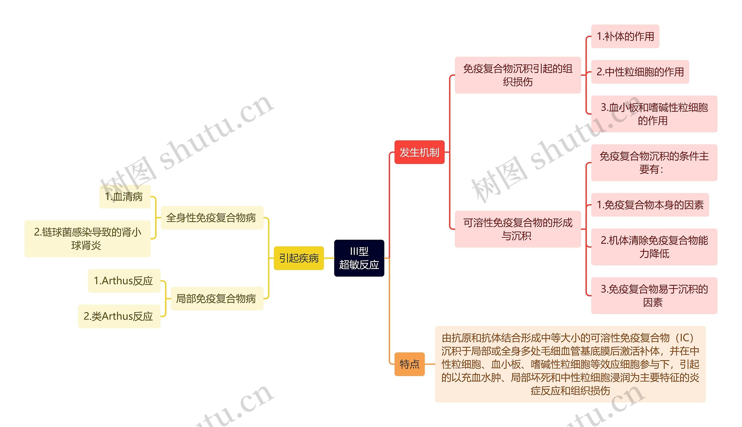 医学知识III型超敏反应思维导图