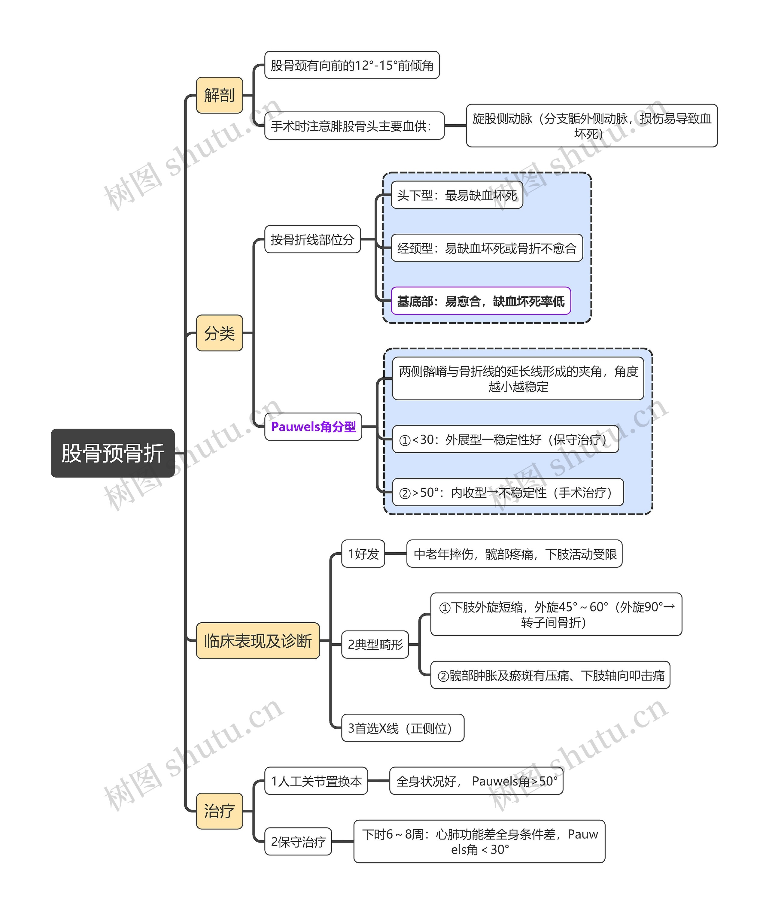 外科学知识股骨预骨折思维导图