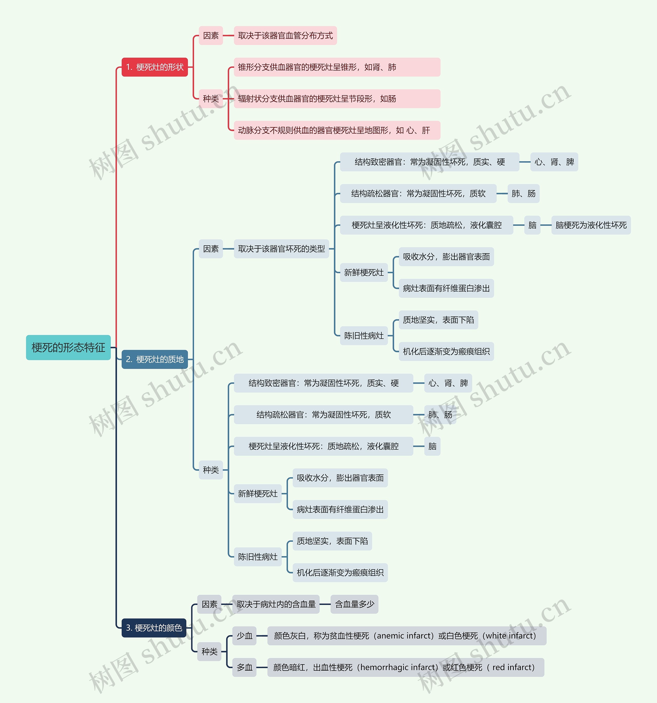 梗死的形态特征思维导图