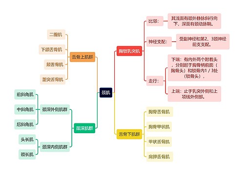 医学知识颈肌思维导图