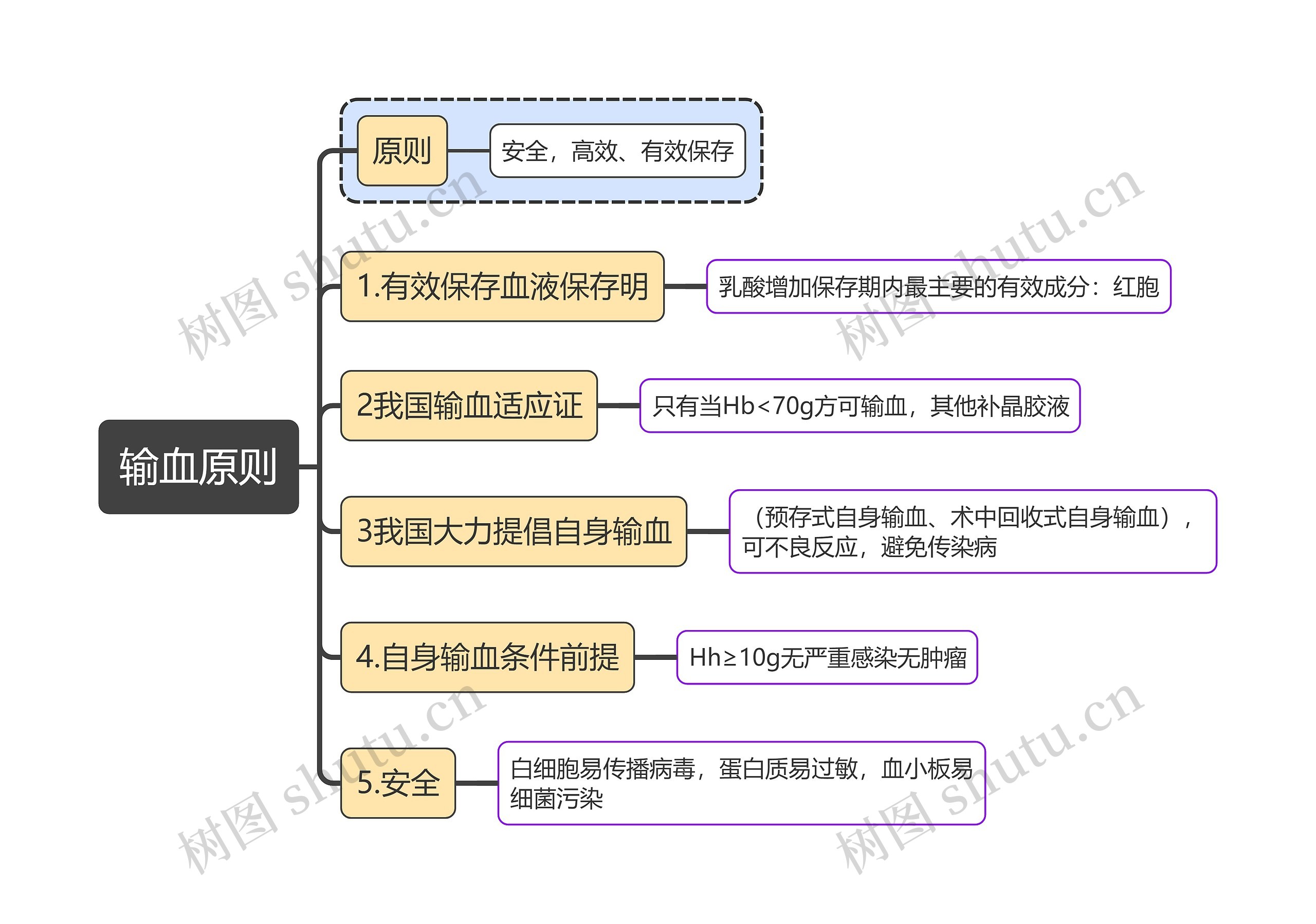 医学知识输血原则思维导图