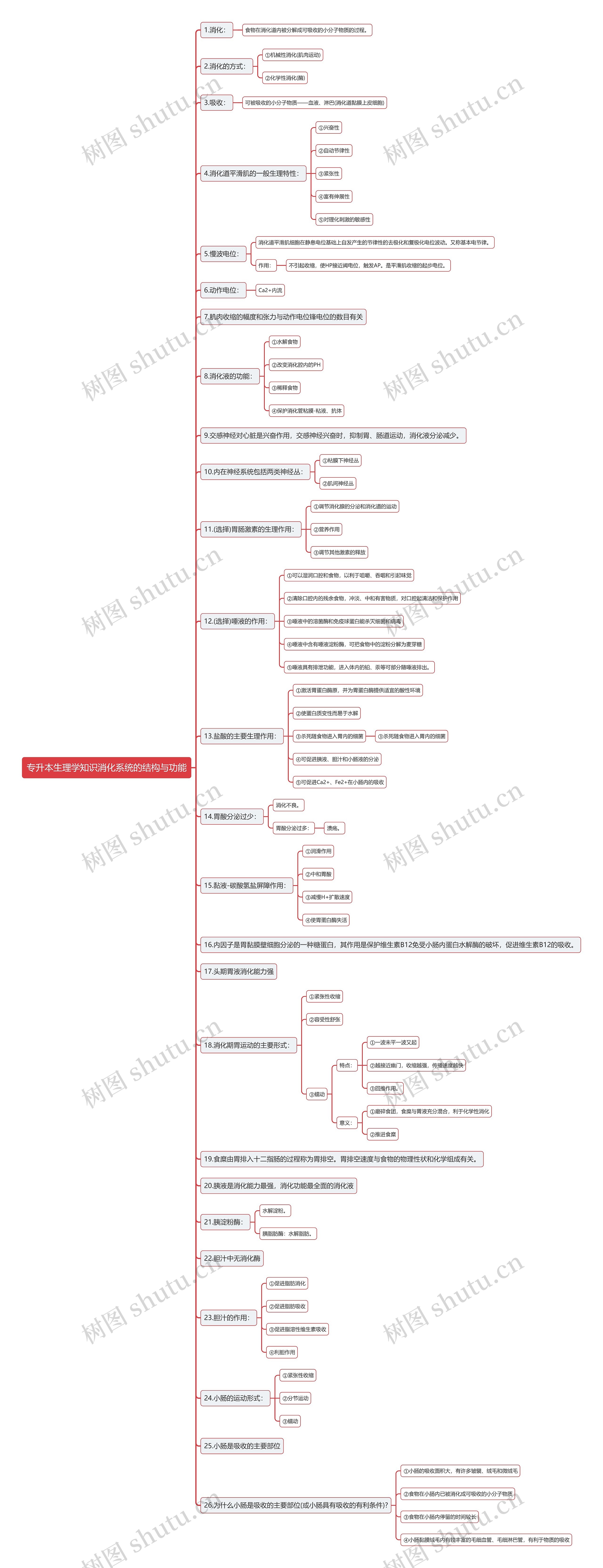 专升本生理学知识消化系统的结构与功能思维导图