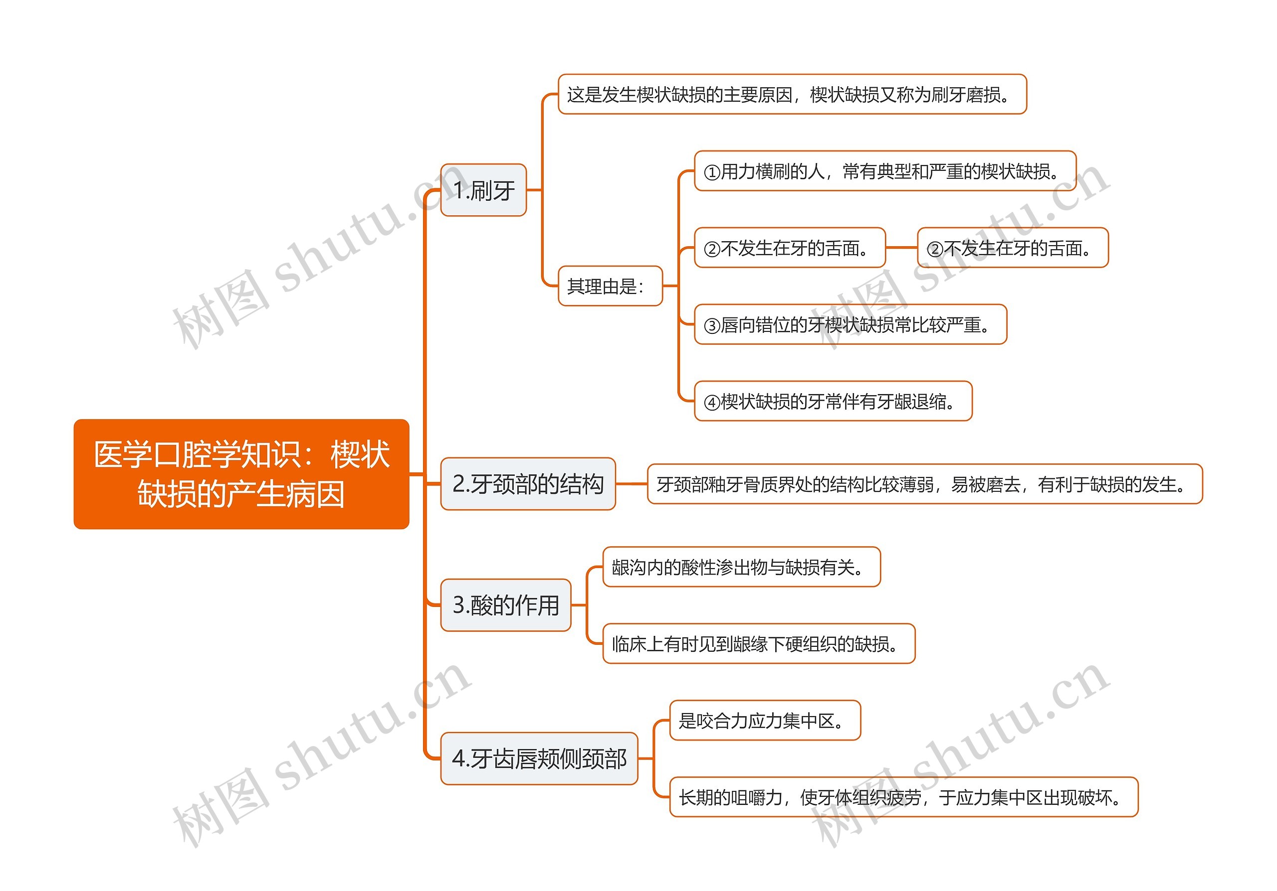 医学口腔学知识：楔状缺损的产生病因思维导图