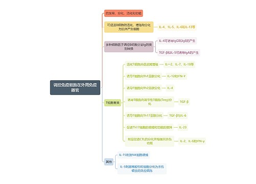 医学知识调控免疫细胞在外周免疫器官思维导图