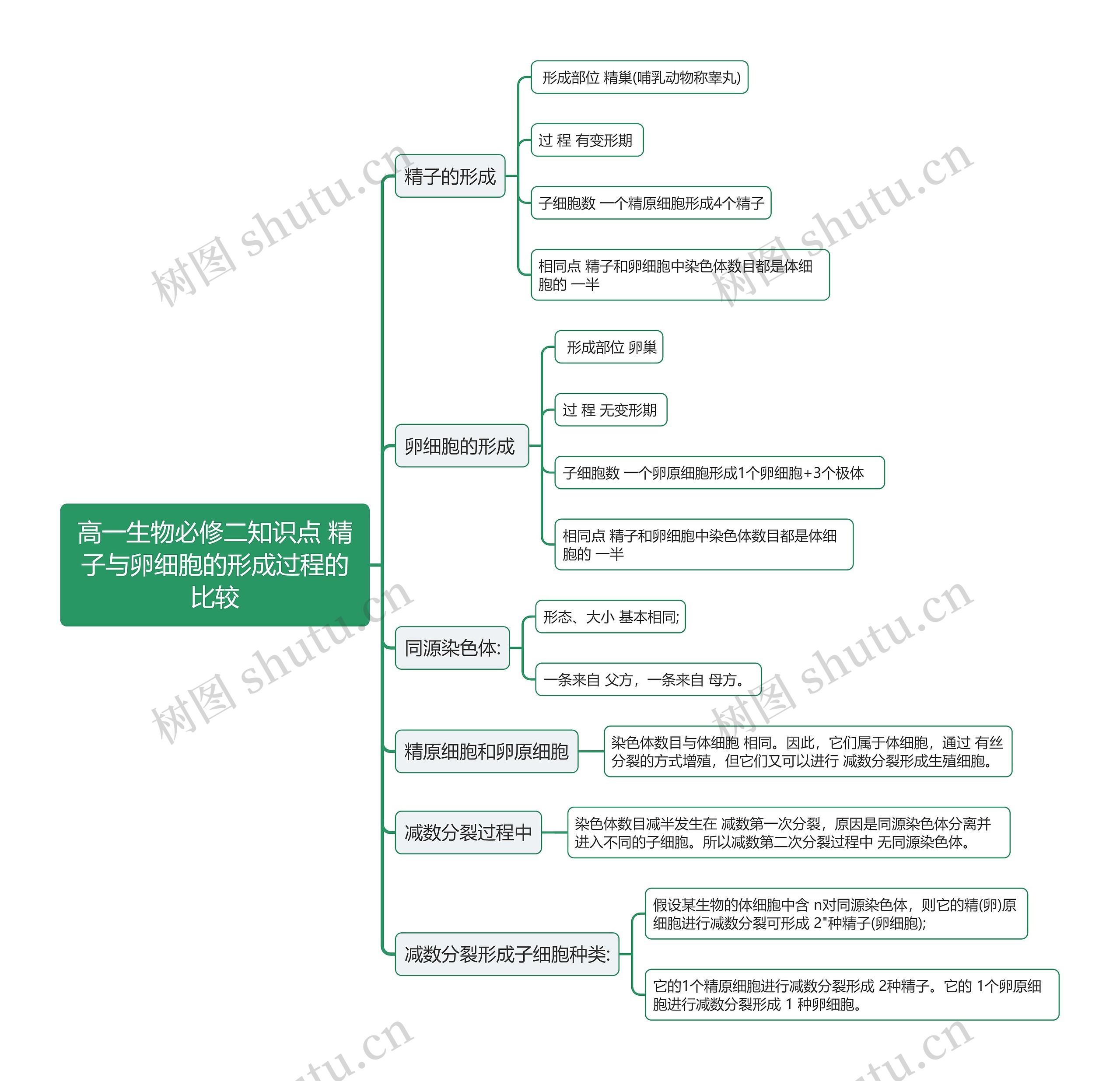 高一生物必修二知识点 精子与卵细胞的形成过程的比较