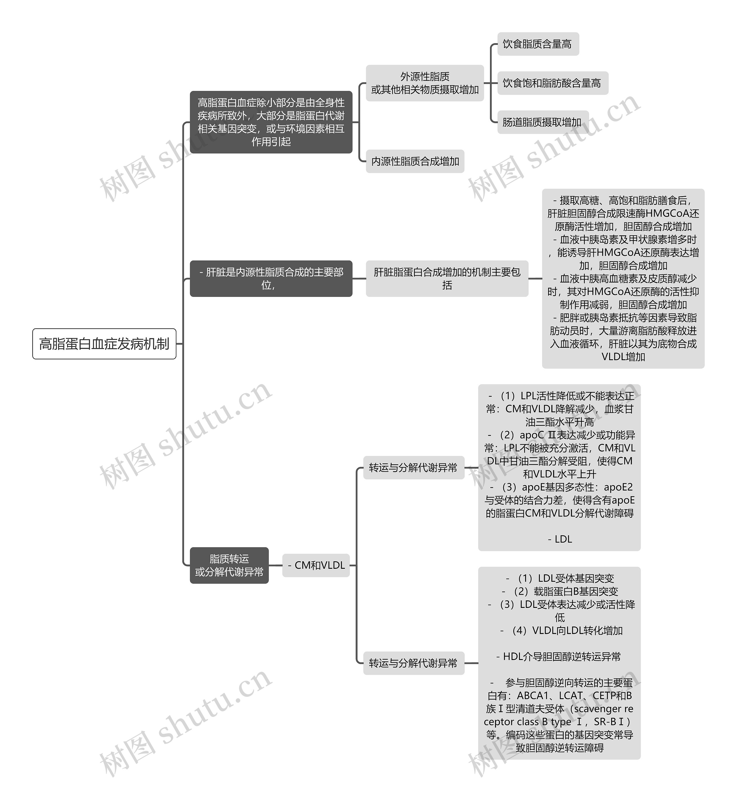 医学知识高脂蛋白血症发病机制思维导图