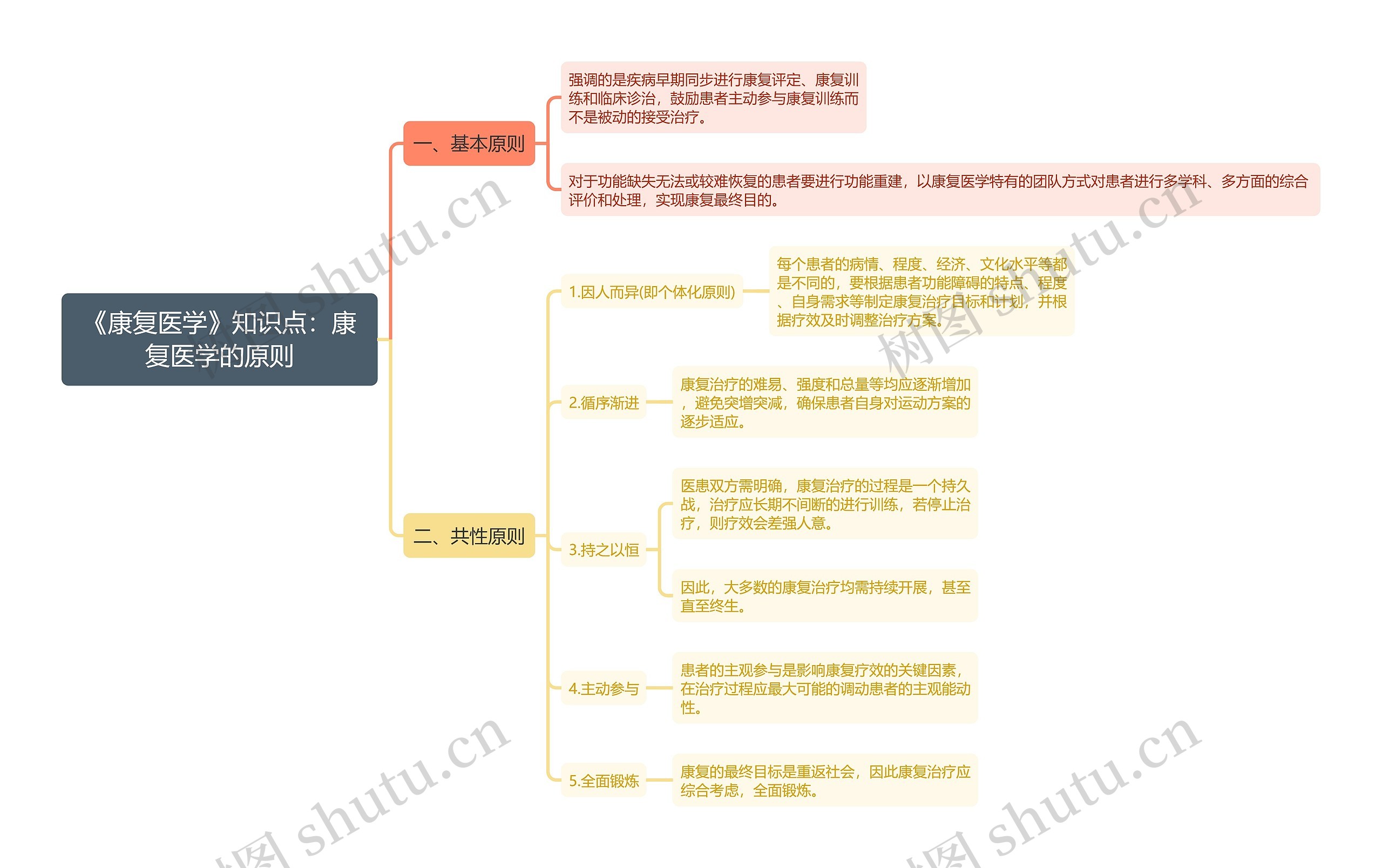 《康复医学》知识点：康复医学的原则