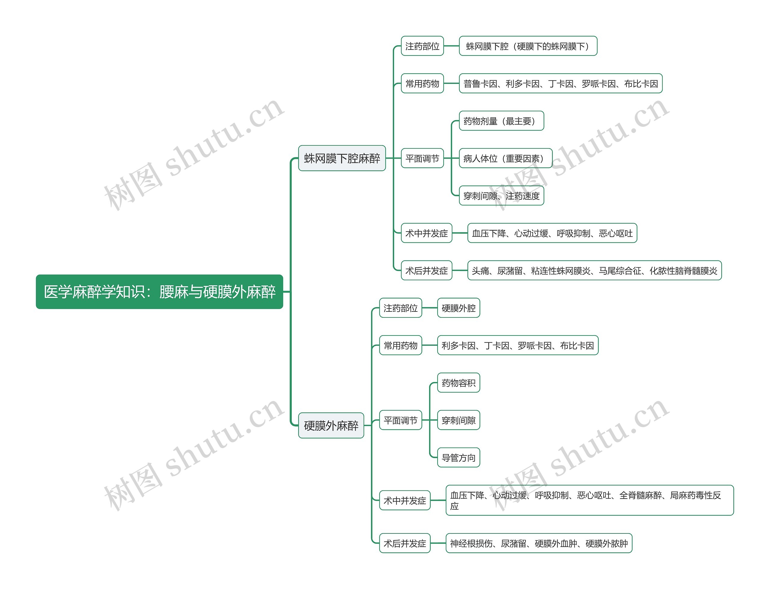 医学麻醉学知识：腰麻与硬膜外麻醉思维导图