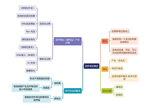 医学知识动作电位概述思维导图