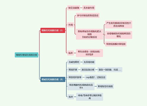 医学知识嗜酸和嗜碱粒细胞功能思维导图