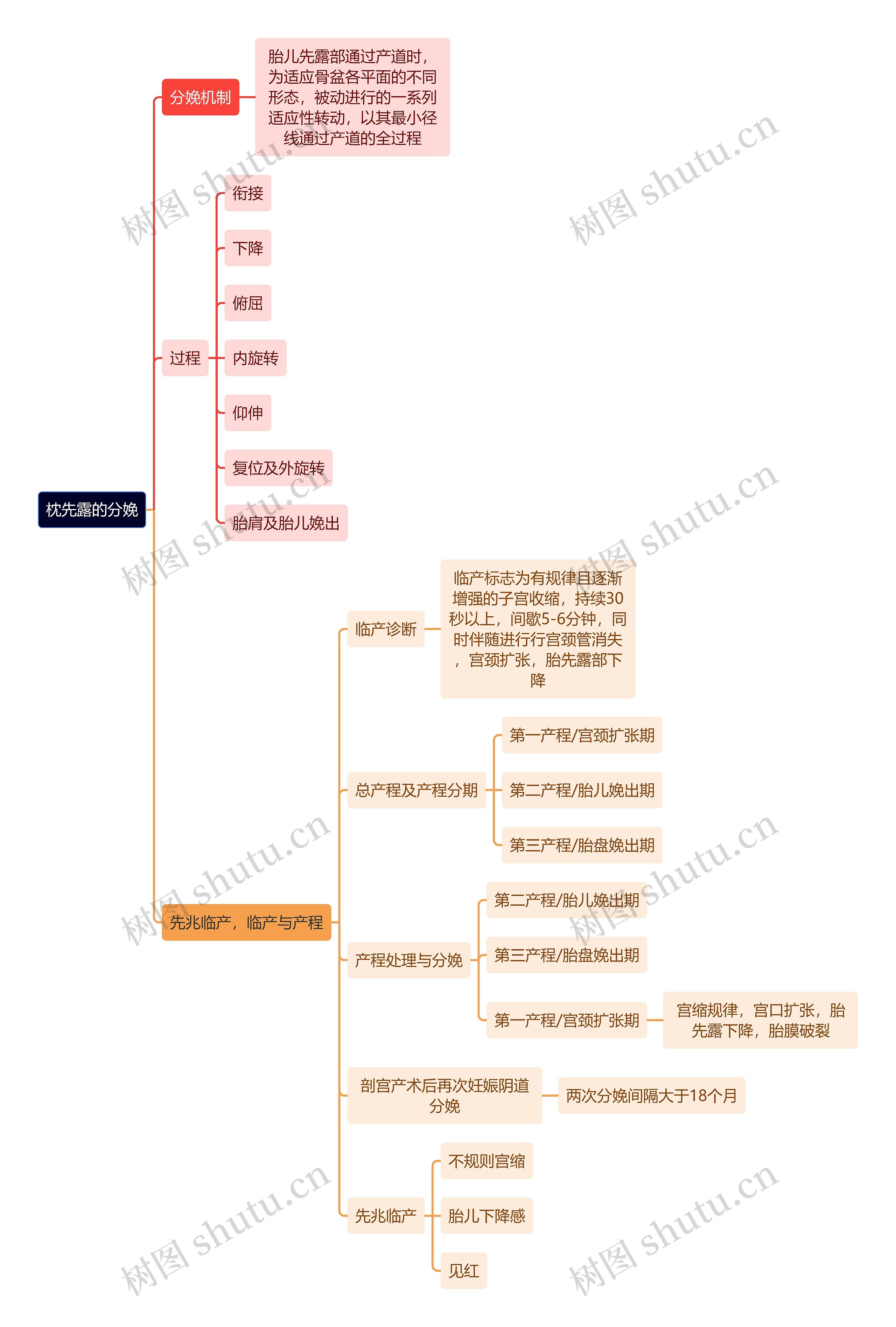 医学知识枕先露的分娩思维导图