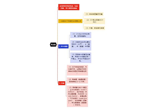 医学知识骨迷路思维导图