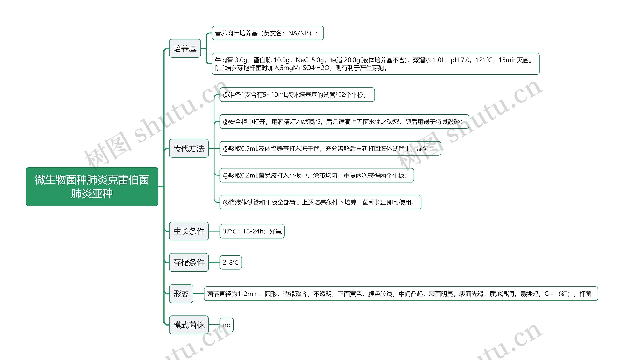 微生物菌种肺炎克雷伯菌肺炎亚种思维导图