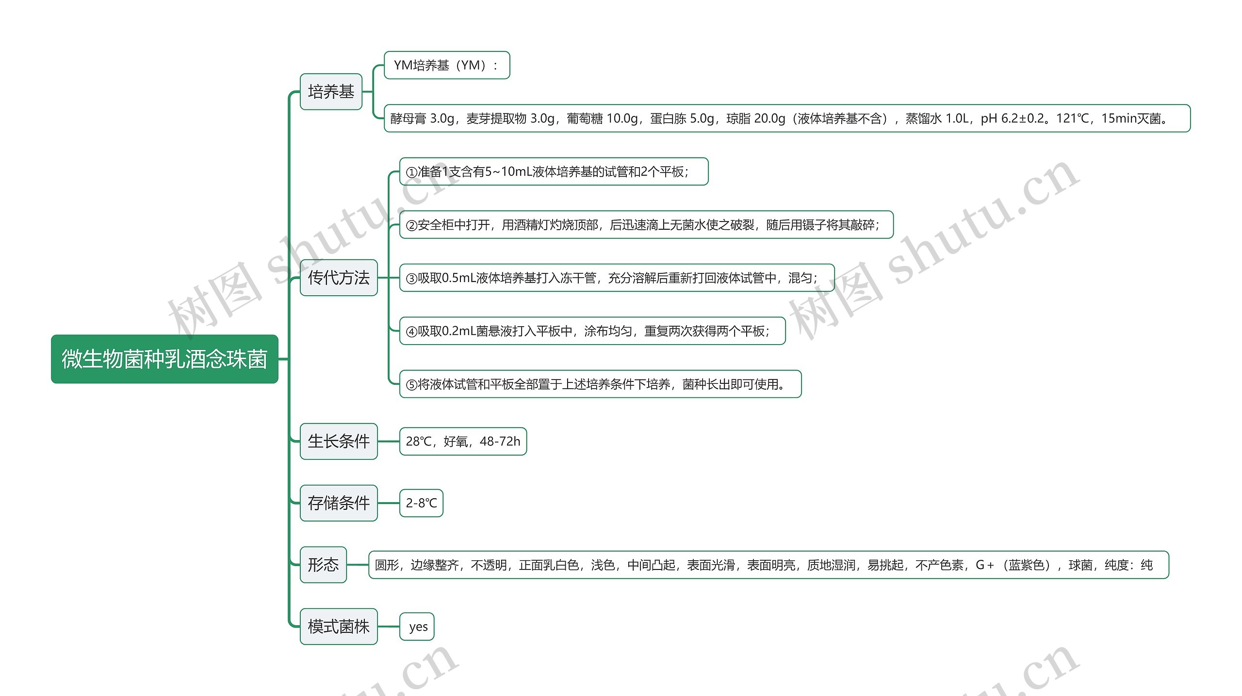 微生物菌种乳酒念珠菌思维导图