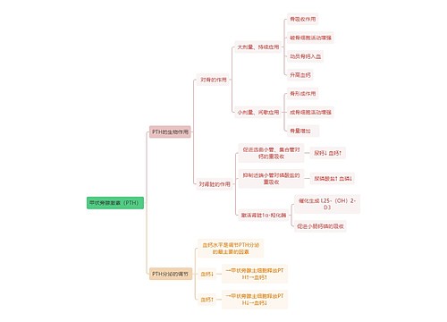 医学知识甲状旁腺激素（PTH）思维导图