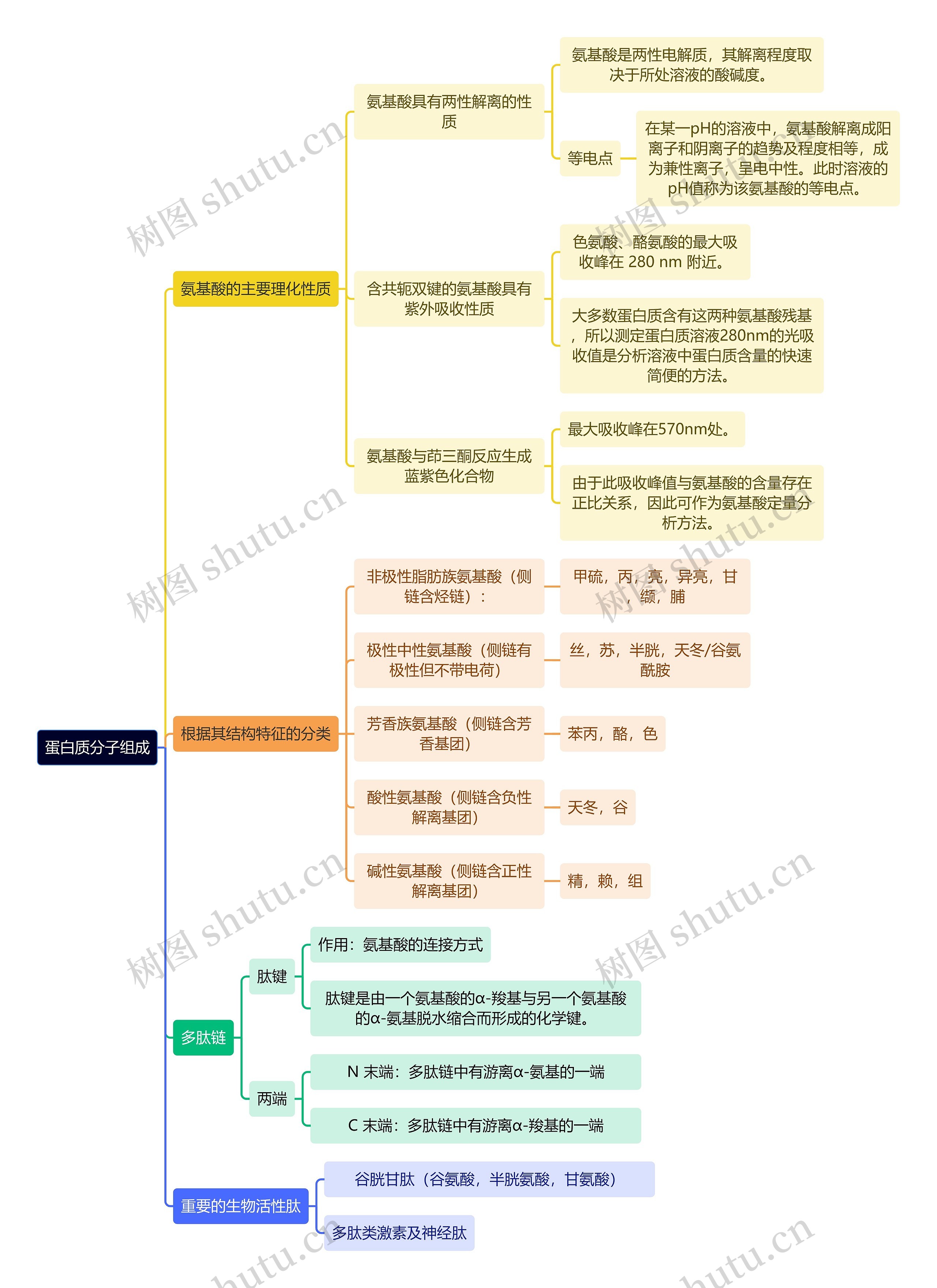 生化知识蛋白质分子组成思维导图高清图 生化知识蛋白质分子组成思维导图