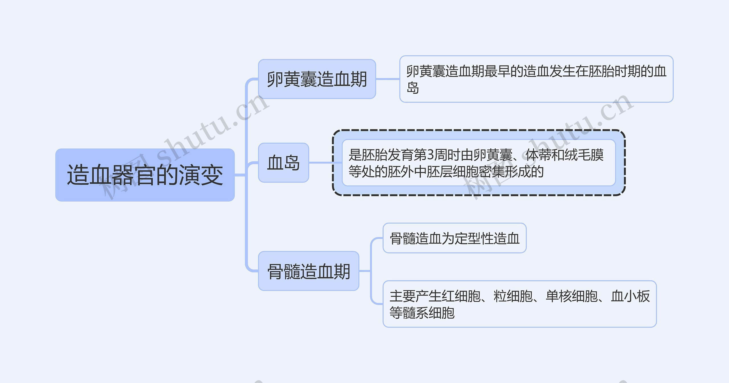 医学知识造血器官的演变思维导图