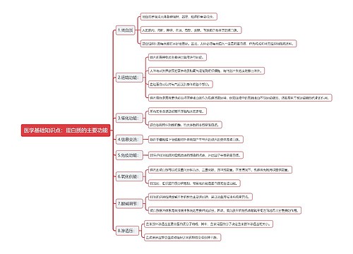 医学基础知识点：蛋白质的主要功能思维导图