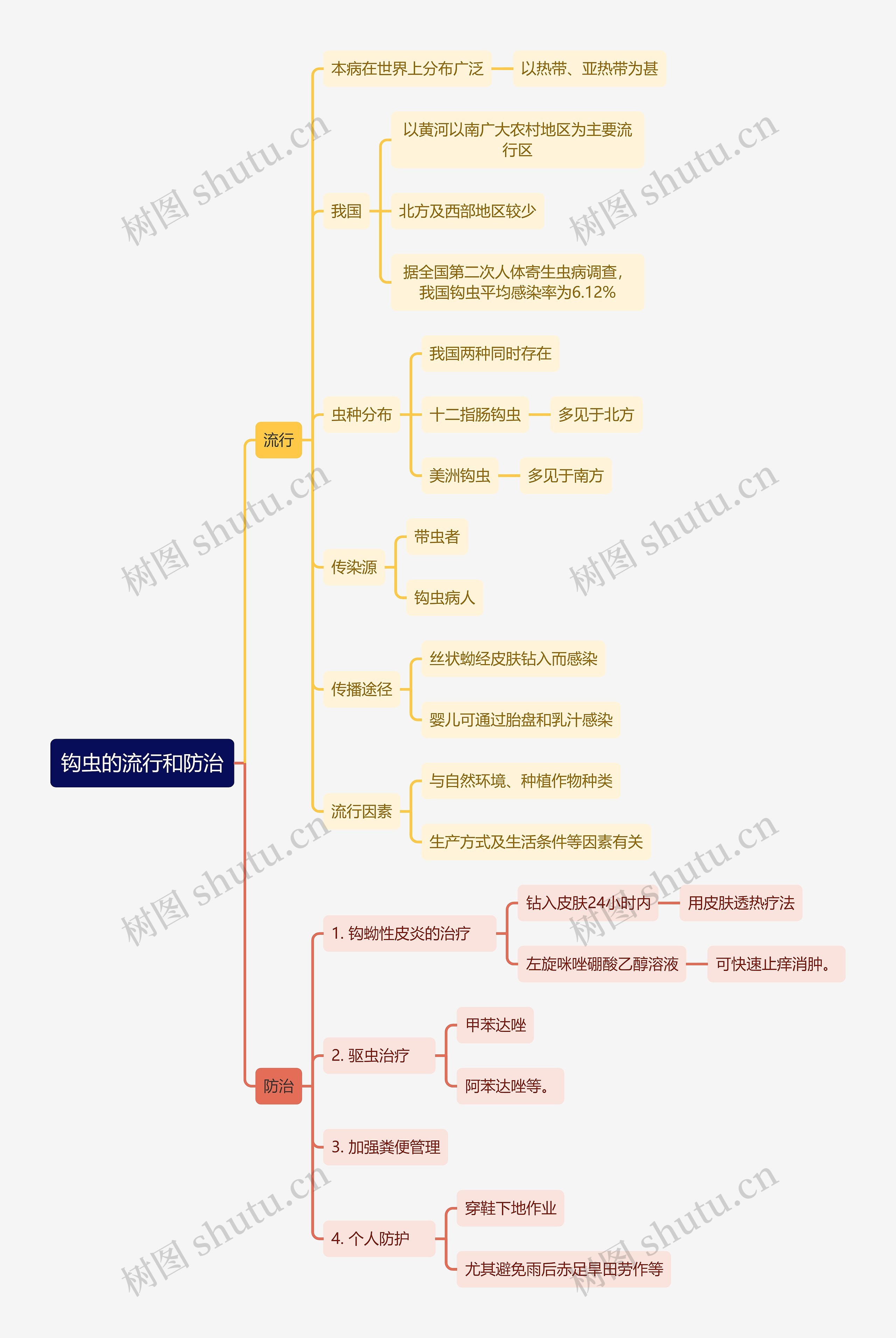 医学知识钩虫的流行和防治思维导图