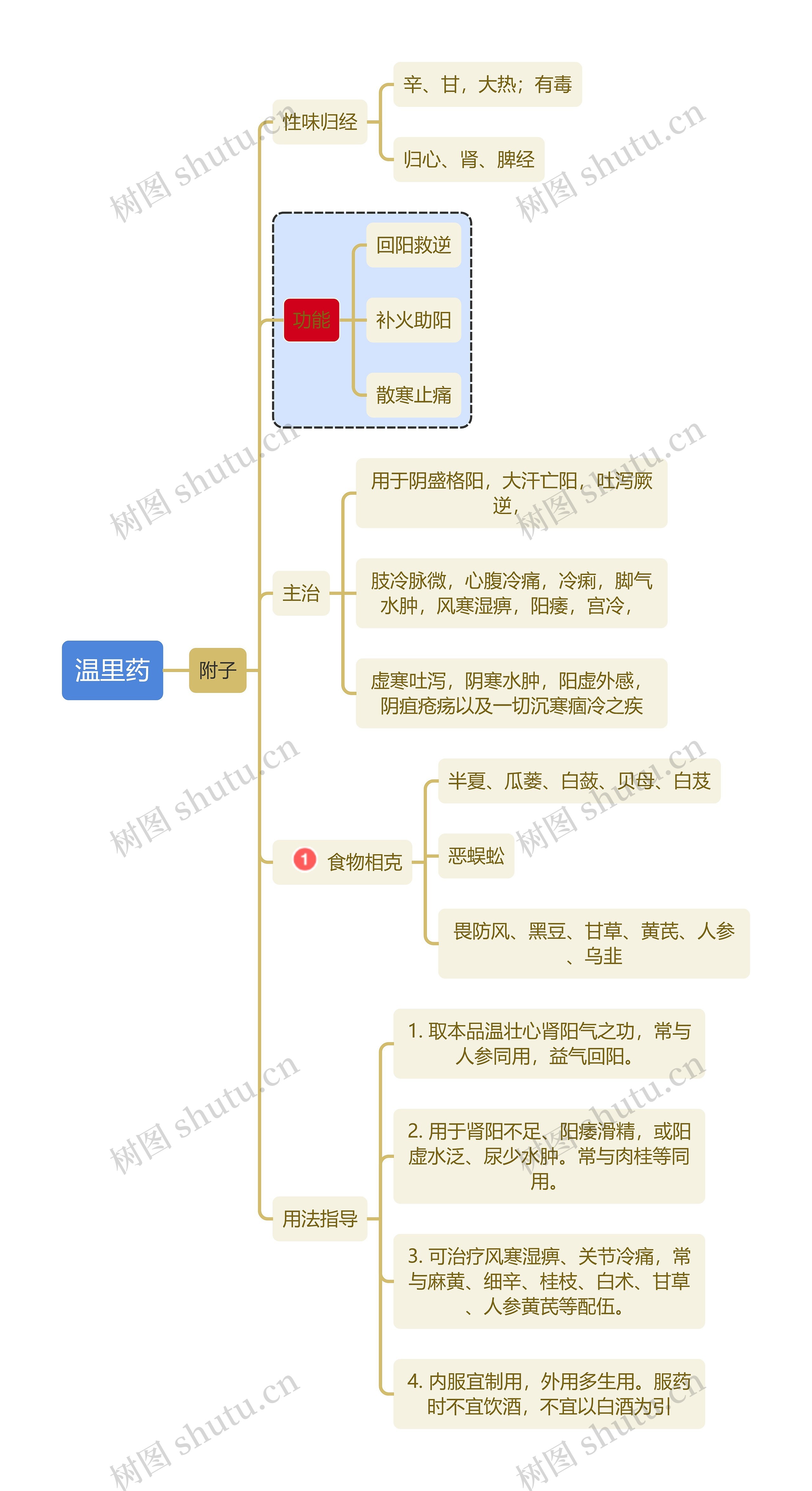 医学知识温里药附子思维导图