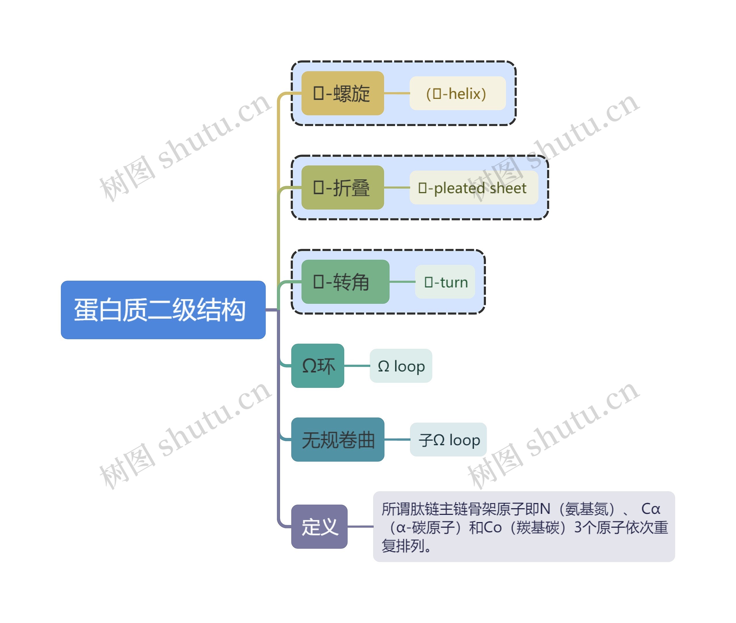 医学知识蛋白质二级结构思维导图